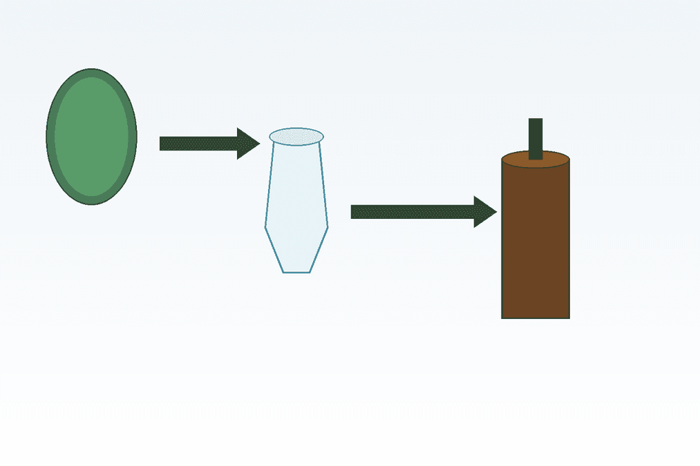 CBD Öl Herstellung – Vom Hanfanbau bis zur fertigen Flasche